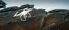 flycam-dji-phantom-4-min-mobile-quan-1-tphcm (1)