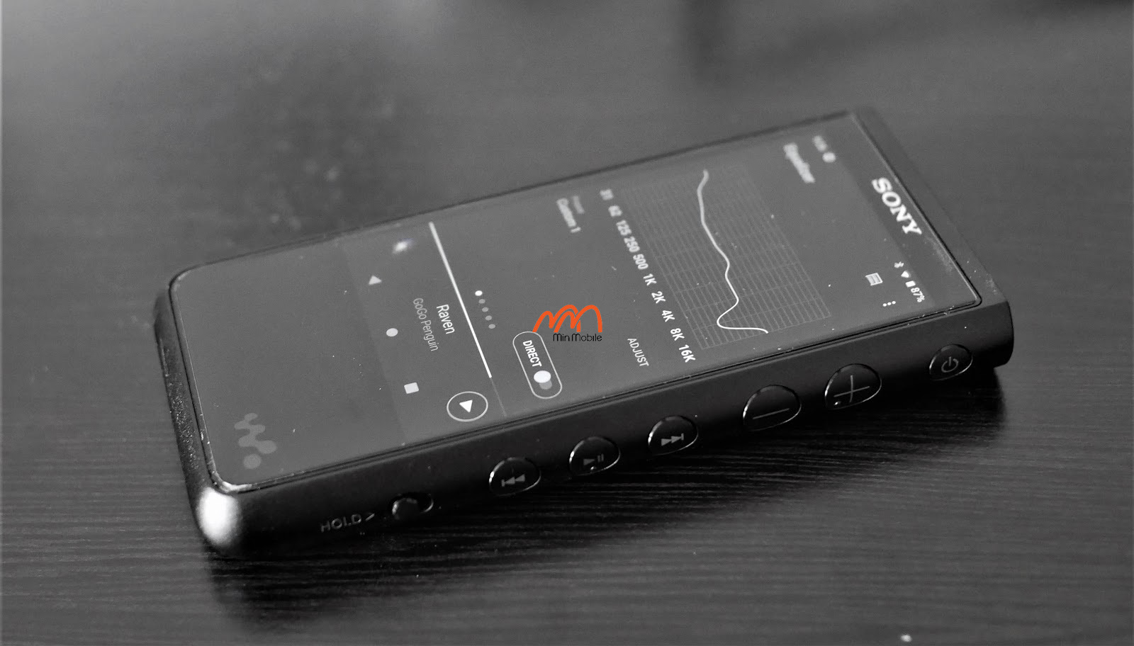 SONY ウォークマン ZX NW-ZX507(S) SONY ウォークマン ZX NW-ZX507(S