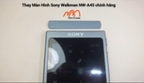 Thay Màn Hình Sony Walkman NW-A45