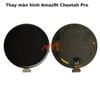 Thay Màn Hình Amazfit Cheetah Pro