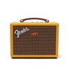 thay-pin-loa-fender-indio-2-2-tweed-min-mobile-quan-2-tphcm (3)