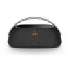 Thay Pin Loa Harman Kardon Go Play 3