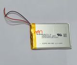 Thay Pin Máy Nghe Nhạc Sony NW-ZX507