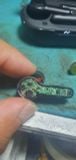 Thay Pin Tai Nghe Gaming JBL Quantum TWS