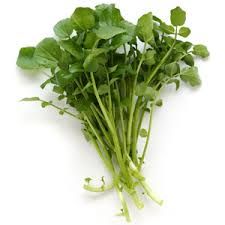  (Base) Watercress 