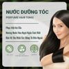 Nước Dưỡng Tóc - Perfume Hair Tonic