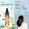 Nước Dưỡng Tóc - Perfume Hair Tonic