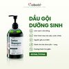 Combo Kích Mọc Tóc: Dầu gội dưỡng sinh 480ml + Nước xả tóc detox 500ml tặng Dầu ủ tóc 60ml + Muối tẩy TBC da đầu 75g