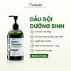 Dầu gội dưỡng sinh - Detox Shampoo
