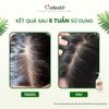 Combo Kiềm Dầu: Dầu gội dừa (Hương Hoa Quýt) 480ml + Nước xả tóc(Hương Hoa Quýt) 500ml Muối tẩy TBC da đầu 265g