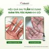 Dầu Ủ Dưỡng Tóc Ngăn Rụng và Thải Độc Da Đầu - Hair & Scalp Detox Oil