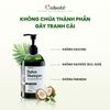 Combo Kích Mọc Tóc: Dầu gội dưỡng sinh 480ml + Nước xả tóc detox 500ml tặng Dầu ủ tóc 60ml + Muối tẩy TBC da đầu 75g