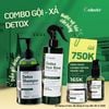 Combo Kích Mọc Tóc: Dầu gội dưỡng sinh 480ml + Nước xả tóc detox 500ml tặng Dầu ủ tóc 60ml + Muối tẩy TBC da đầu 75g
