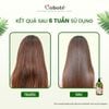 Dầu Gội Hương Nước Hoa - Coco Miracle Perfume Shampoo