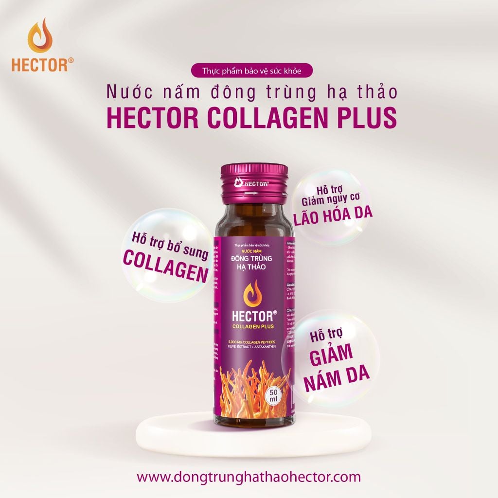Hector Collagen Plus Nước đông trùng hạ thảo