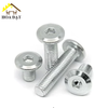 Bulong lục giác chìm Vinahardware loại M6, màu nikel-HSS650NK