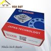 Gối đỡ bạc đạn vòng bi - 2810.4.32210