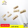 Chốt Đỡ Kệ (Thân Chốt & Nắp Chốt) Vinahardware - Mã 2200.2.21829