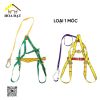 Dây toàn thân - Đồ bảo hộ lao động