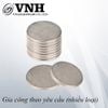 Pat ( bas) sắt tròn - VNH1602T - 16x2mm - hàng xi trắng xanh