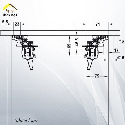 Ray bi - Ray âm - Ray trượt