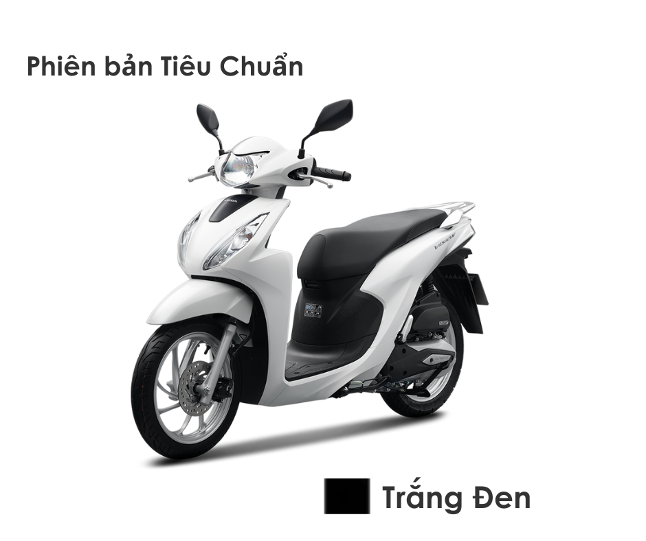 Vision Đặc Biệt 2025