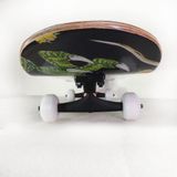 Ván Trượt Skateboard Dragon VTS01