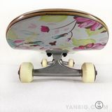 Ván Trượt Skateboard NEW EMMETT VTSN06