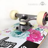 Ván Trượt Skateboard NEW EMMETT VTSN06