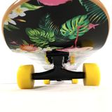 Ván Trượt Skateboard Tập Chơi VTS56