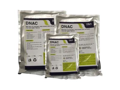 DNAC - Men bào tử chịu kháng sinh, chịu nhiệt