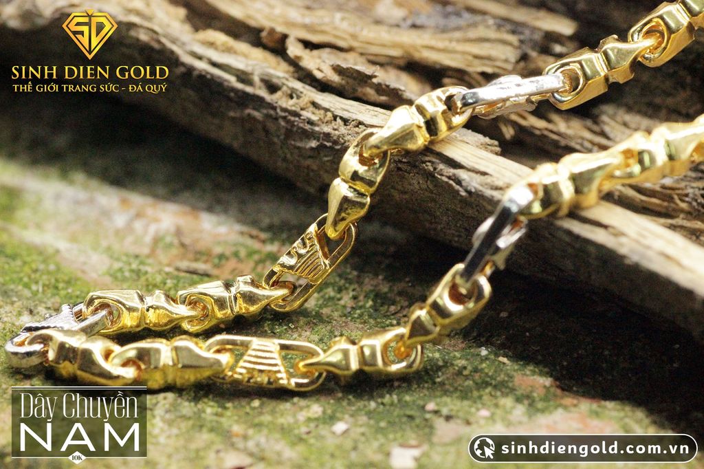 DÂY CHUYỀN NAM 21