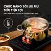 Bếp từ đơn Rossi RS-1020CE01
