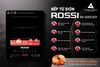 Bếp từ đơn Rossi RS-1020CE01