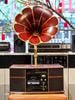 TỦ CỔ LOA KÈN: DENON GP S50 CAO CẤP, CHƠI 6 IN 1