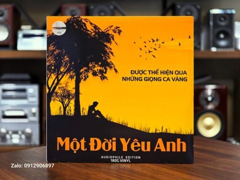  ĐĨA THAN: MỘT ĐỜI YÊU ANH - SỐNG LẠI MỘT THỜI YÊU THA THIẾT 