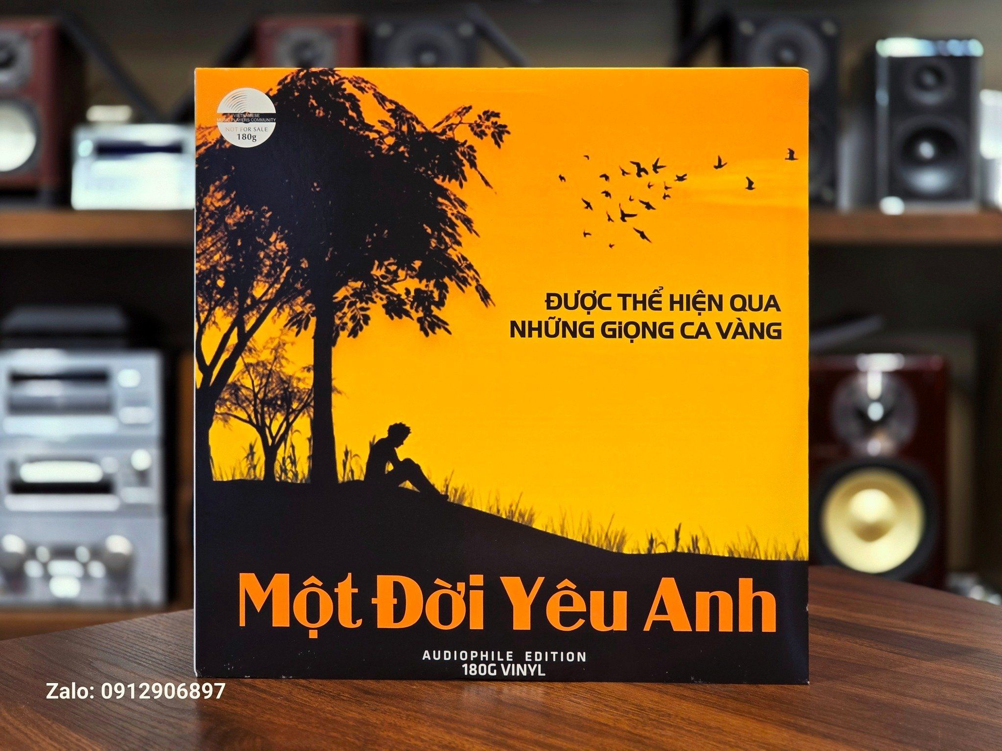 ĐĨA THAN: MỘT ĐỜI YÊU ANH - SỐNG LẠI MỘT THỜI YÊU THA THIẾT