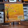 BỘ 4 CD GỐC: HOÀ ÂM DUY CƯỜNG ĐÁNG SƯU TẦM