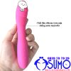 Dương vật giả DV1 silicone cao cấp 30 chế độ rung pin sạc dành cho nữ