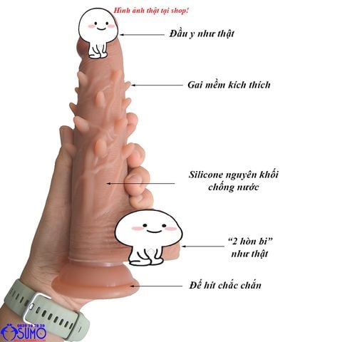 Duong vat gia gan tuong gai mem khong rung gia tot tai Sumo 0839797929 