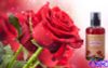 Gel massage toàn thân hương hoa hồng thơm mát Quanshuang Rose Oil 220ml
