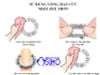 Vòng mắt cừu thế hệ mới Mizz zee trơn cao cấp dành cho nam
