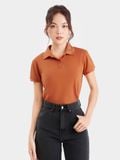  Áo thun polo basic 