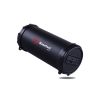 Loa Bluetooth Basefast SK18