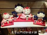  MÈO ĐÔI HOÀNG CUNG   SC 9011 