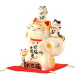  Mèo Tam phúc 7448 