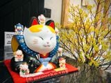  Mèo phúc thần fukuske 30cm 