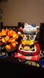  MÈO Ú DARUMA   SB3013 