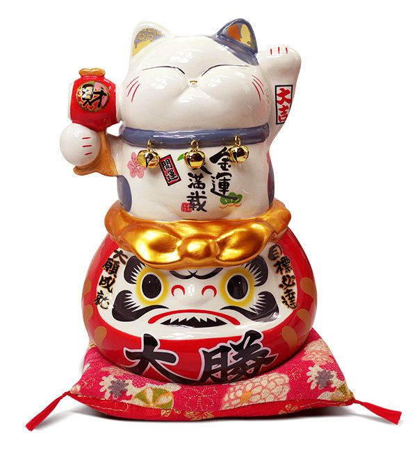  Mèo ú daruma 