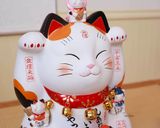  Mèo thất phúc thần Japan 35cm 
